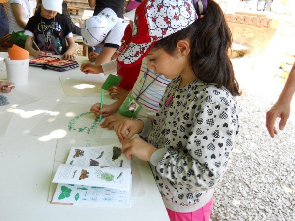Sui banchi di scuola insieme al WWF per dare valore alla natura d’Italia